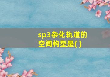 sp3杂化轨道的空间构型是( )